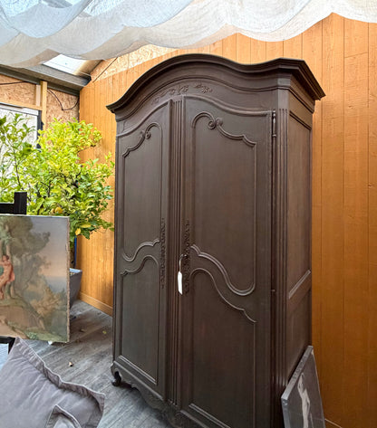 Armoire en noyer XIXème, patinée bronze